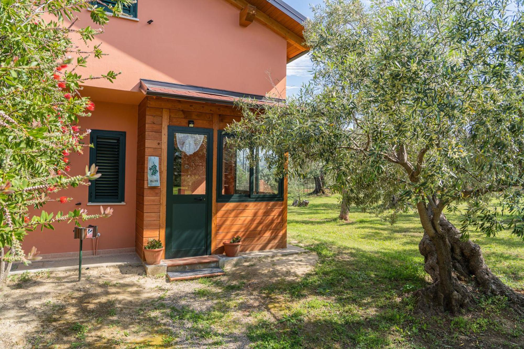 Bed and Breakfast La Piana Degli Ulivi Россано Екстер'єр фото